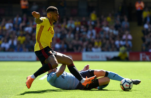 视和对每一 视和对每一