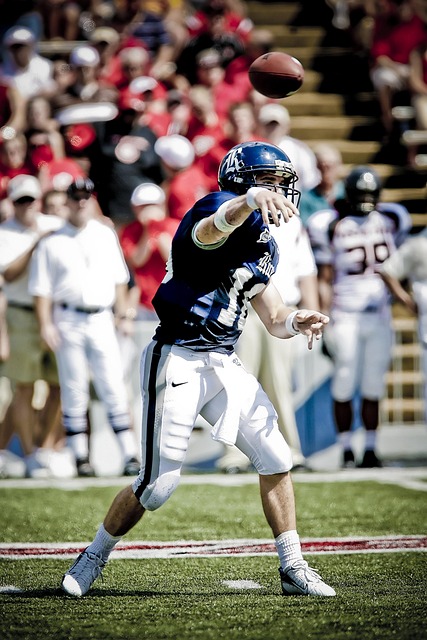 的激励因素 的激励因素