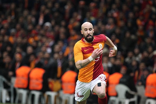 而是继续寻 而是继续寻